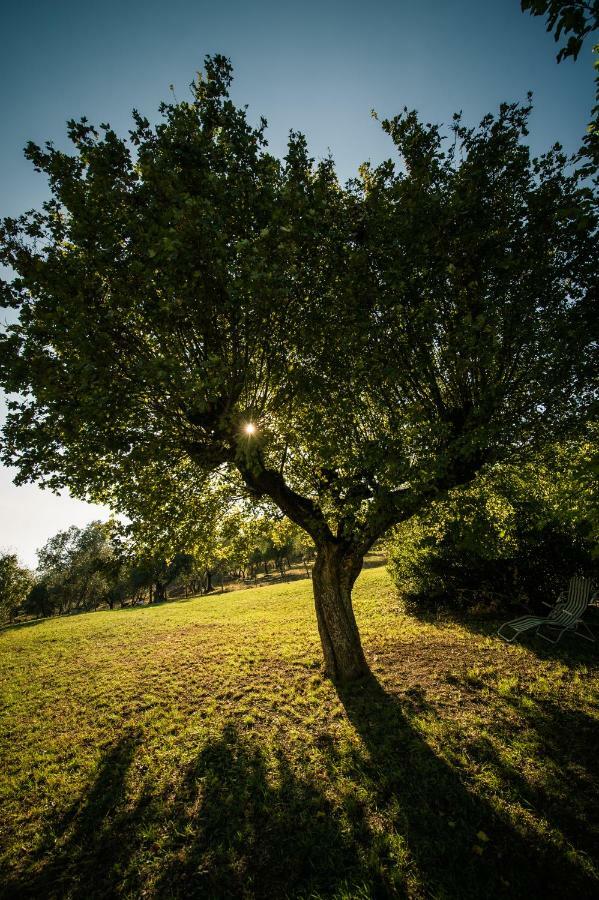 Podere Belvedere Tuscany Villa ปอนตาสซิเอเว ภายนอก รูปภาพ